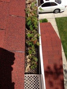 gutter cleaning, ellicott city maryland