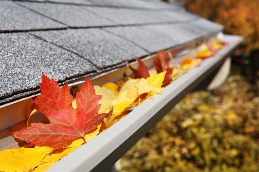 Can Clogged Gutters Lead To Ceiling Leaks? - Gutters full of leaves