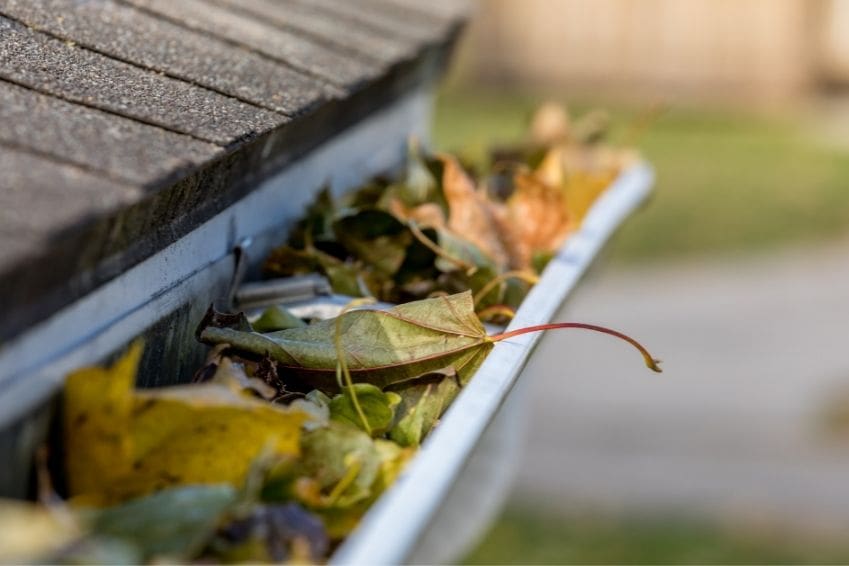 5 Common Problems Caused by Clogged Gutters