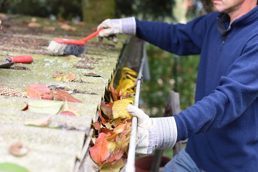 Clean Your Gutters Now or Pay the Price Later