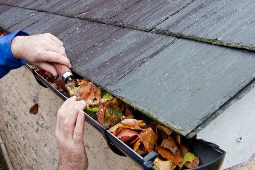 Leaves Left in Gutters Can Eventually Damage Your Roof